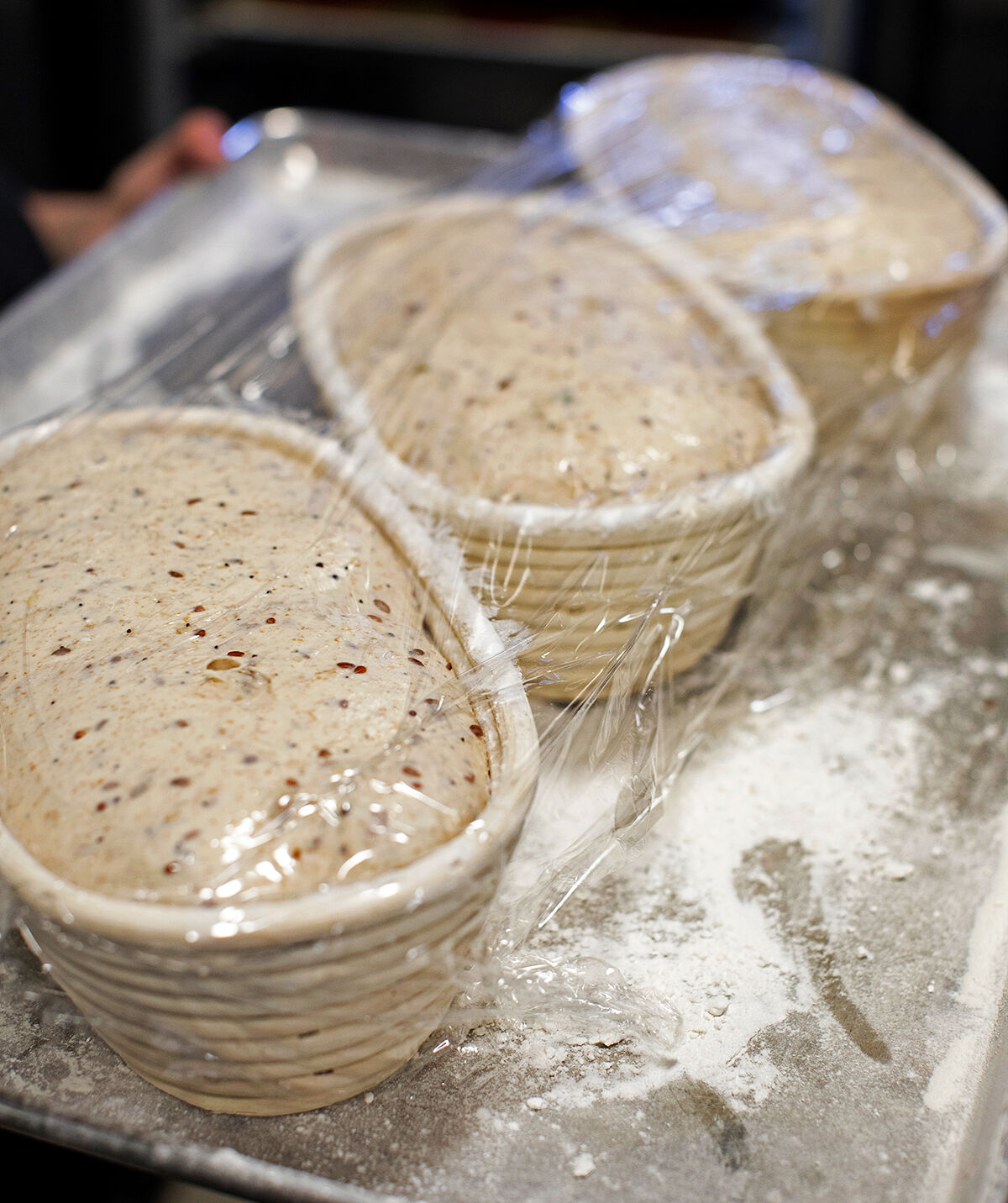 Madeleine sourdough loaves